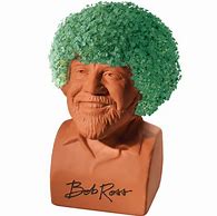 Image result for Classic Chia Pet