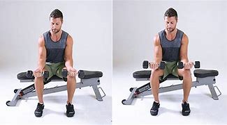 Image result for Forearm Exercises Mass