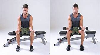 Image result for Forearm Workout Routine