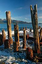 Image result for Resurrection Bay Seward Alaska