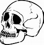 Image result for 3 4. Profile Skull Drawing