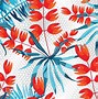 Image result for Aloha with a Wave Behind