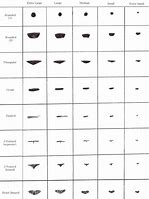 Image result for Nose Chart