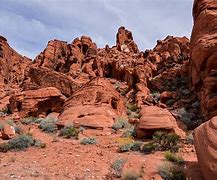 Image result for Red Landscape Rock