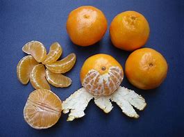 Image result for Clementine Streamer