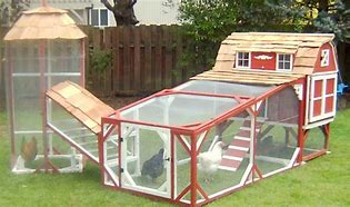 Image result for Chicken Coop