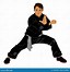 Image result for Silat