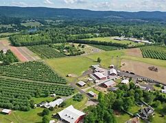 Image result for Barton Orchards Peach Picking