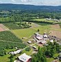 Image result for Barton Orchards Peach Picking