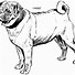 Image result for Dog Line Drawing