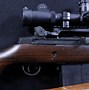 Image result for Springfield M21