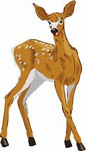 Image result for Doe Deer Clip Art