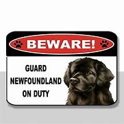 Image result for Newfoundland Guard Dog