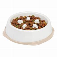 Image result for Dog Eat Bowl