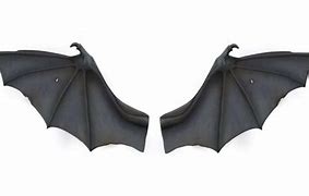 Image result for Vampire Bat Wings