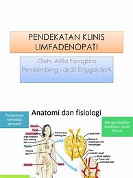 Image result for Patofisiologi Limfadenopati