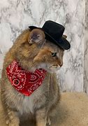 Image result for Cowboy Cat Print