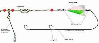 Image result for Salmon Snubber Rig