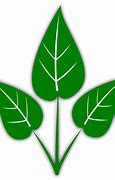 Image result for Mahangu Plant Leaf Clip Art