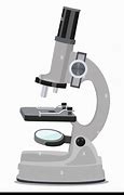 Image result for Clip Art Lens of Microscope