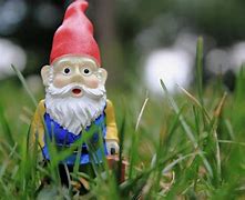 Image result for Garden Gnome Pictures