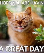 Image result for Great Day Meme