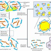 Image result for Protein in Peanut Sugar