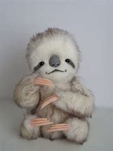 Image result for Albino Baby Sloth