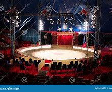 Image result for Sassy Circus Rings