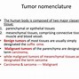 Image result for Human Tumor