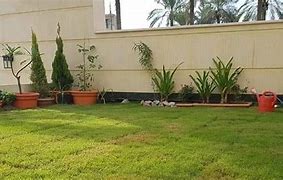 Image result for Green Roof Garden