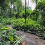 Image result for Taman Mungil