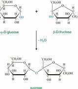 Image result for What Is Sucrose