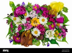 Image result for Summer June Flowers