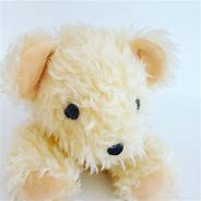 Image result for Heatable Teddy