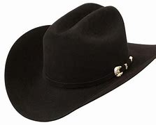 Image result for Expensive Cowbow Hat