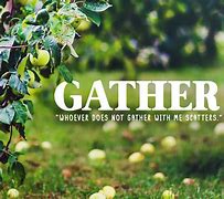 Image result for Catholics Gather