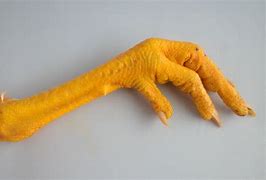 Image result for Chicken Feet Bones