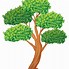 Image result for Lime Tree Clip Art