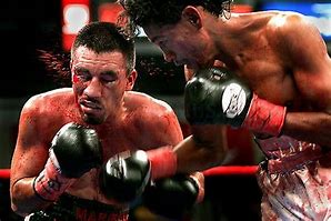 Image result for Boxing Punches