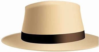 Image result for Hat Logo.png