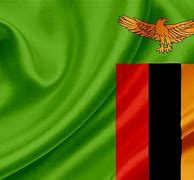 Image result for Flag of Zambia