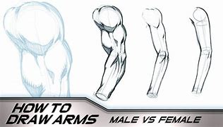 Image result for Cradle Arms Drawing