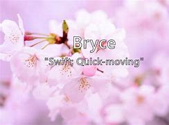 Image result for Bryce Name