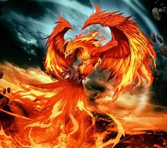 Image result for Red and Black Rising Phoenix