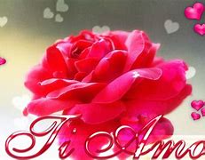 Image result for Te Amo Roses