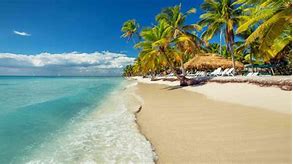 Image result for Coconut Beach Lagos Nigeria