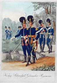 Image result for Swedish Napoleonic Uniforms