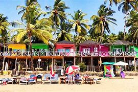 Image result for Butterfly Beach Goa