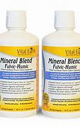 Image result for Mineral Supplements for Humans